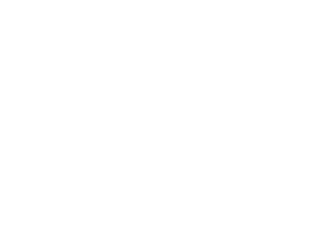 bw_Logo-transparent_small_Footer